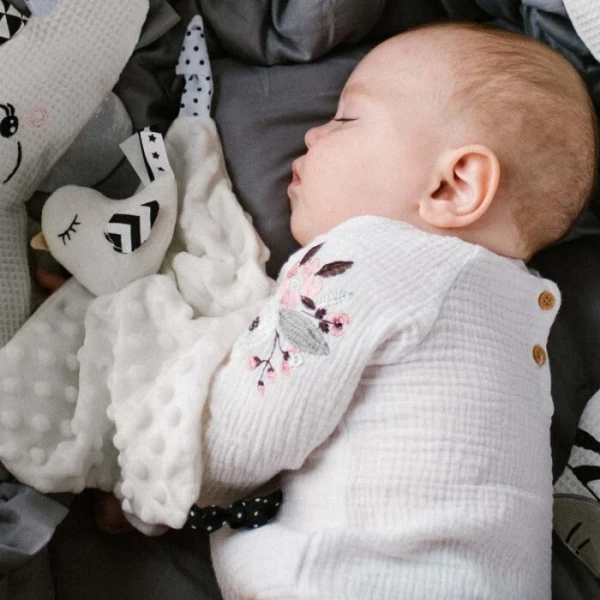 BabyOno, przytulanka i kocyk dla niemowląt, minky, Little Birdie, 1537, 1 sztuka 2